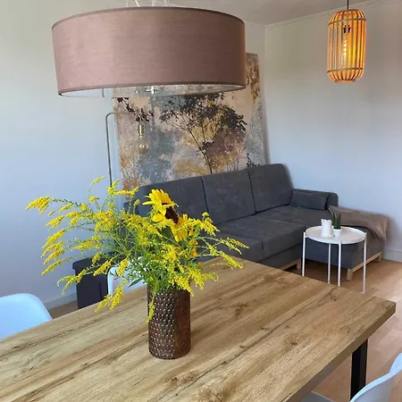 Apartment Am Zoo In Halles Norden Giebichenstein